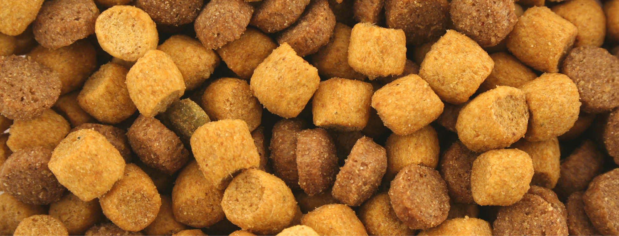 Petfood Univers