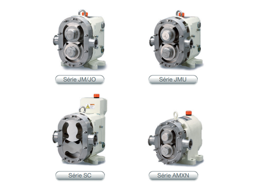 Rotary piston pumps