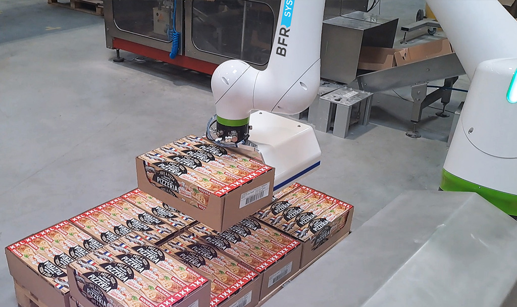 Collaborative Palletizing Robot